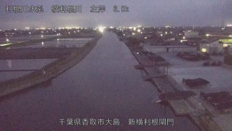 yoko2026041419_image