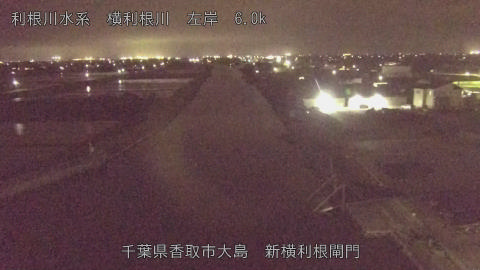 yoko2026041420_image