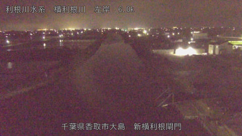 yoko2026041422_image