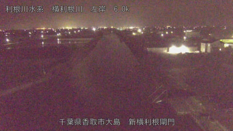 yoko2026041423_image