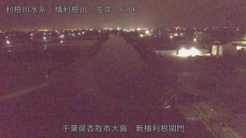 yoko2026041501_image