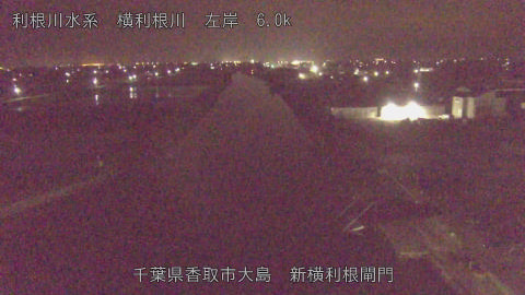 yoko2026041502_image