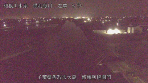 yoko2026041503_image