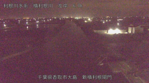 yoko2026041504_image