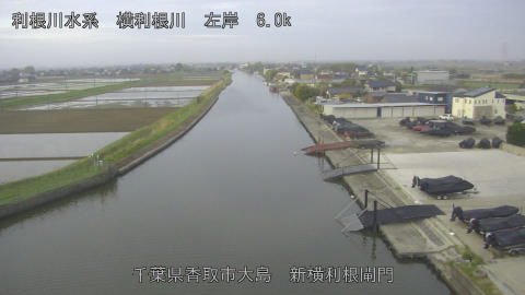 yoko2026041506_image