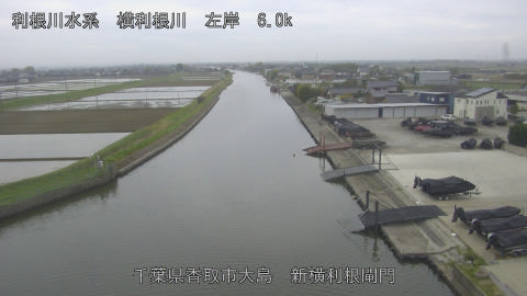 yoko2026041507_image