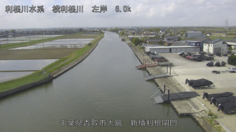 yoko2026041510_image