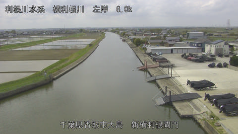 yoko2026041511_image