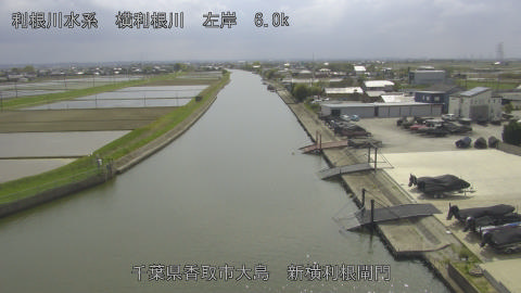 yoko2026041514_image