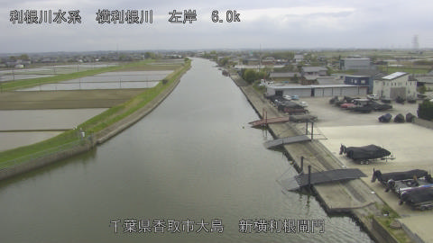 yoko2026041515_image