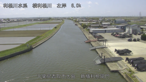 yoko2026041612_image