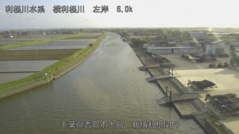 yoko2026041617_image