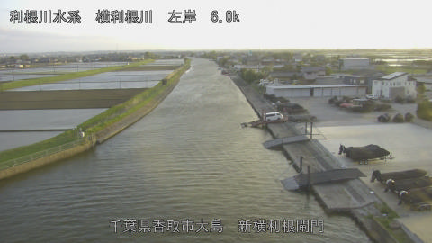 yoko2026041618_image