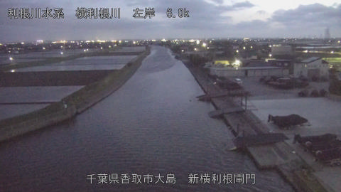 yoko2026041619_image