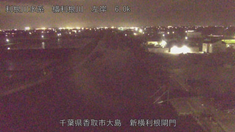 yoko2026041620_image