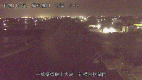 yoko2026041621_image