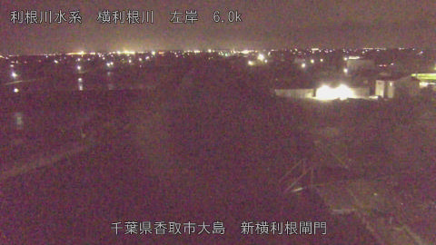 yoko2026041623_image