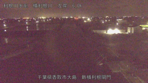 yoko2026041700_image