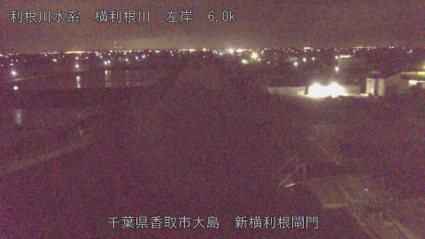 yoko2026041701_image