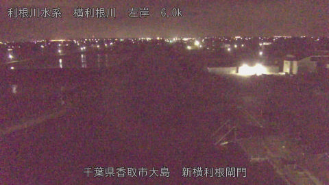 yoko2026041702_image