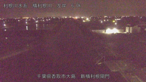 yoko2026041703_image