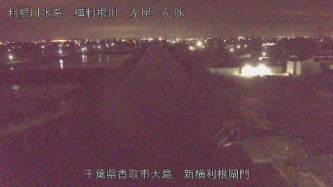 yoko2026041704_image