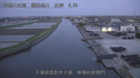 yoko2026041705_image