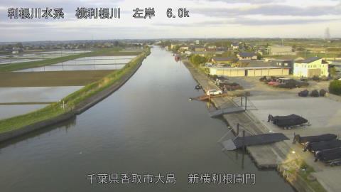 yoko2026041706_image