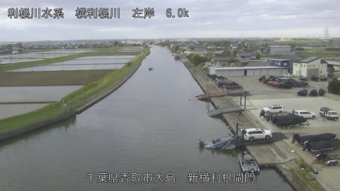 yoko2026041707_image