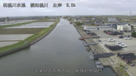 yoko2026041708_image