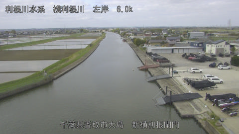 yoko2026041709_image