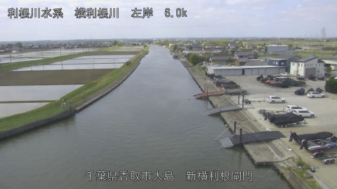 yoko2026041710_image