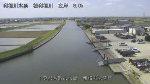 yoko2026041711_image