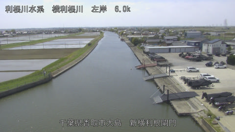 yoko2026041712_image