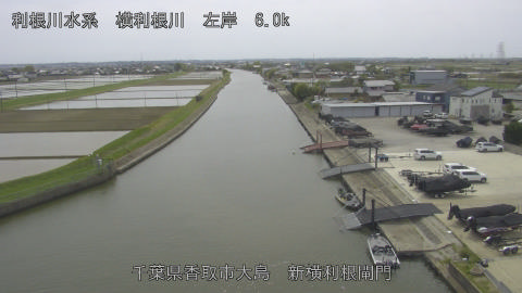 yoko2026041713_image