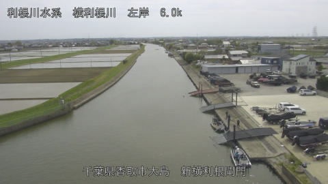 yoko2026041714_image