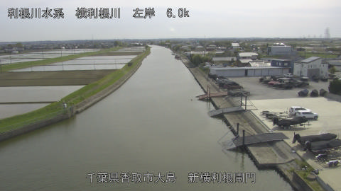 yoko2026041715_image