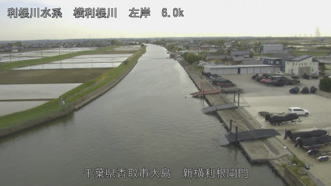 yoko2026041716_image