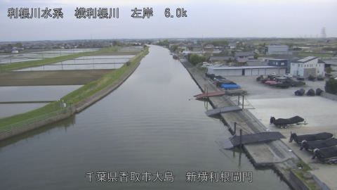 yoko2026041718_image