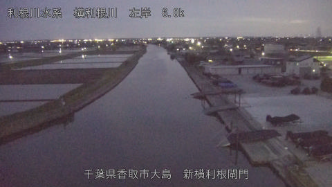 yoko2026041719_image