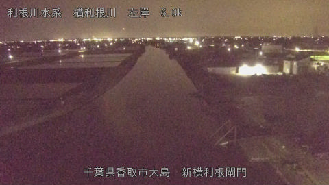 yoko2026041720_image