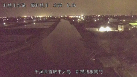 yoko2026041721_image