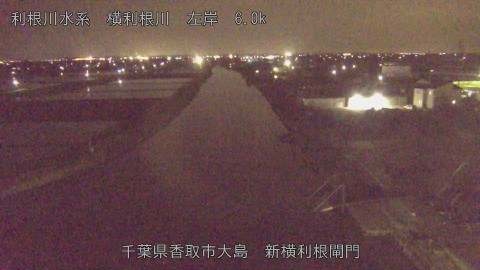 yoko2026041722_image