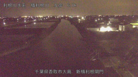 yoko2026041723_image