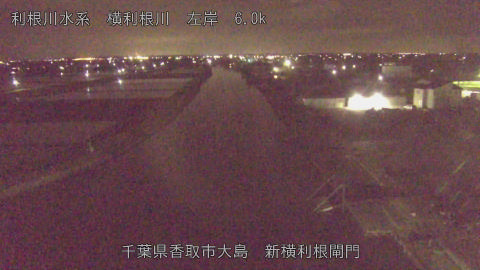 yoko2026041800_image