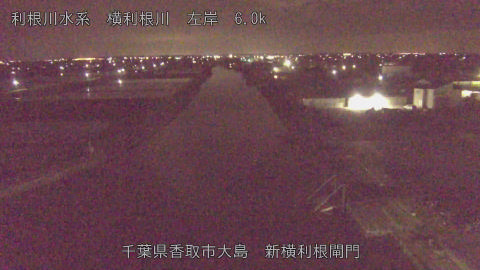 yoko2026041801_image