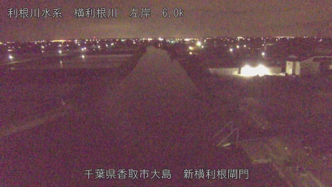 yoko2026041802_image