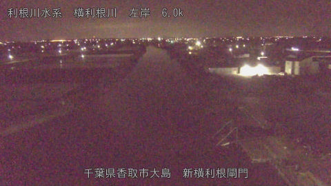 yoko2026041804_image