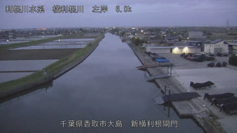 yoko2026041805_image