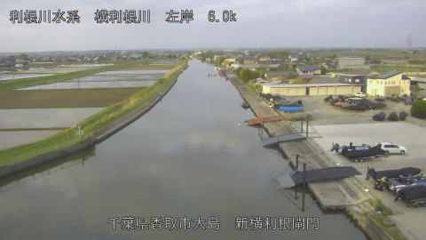 yoko2026041806_image